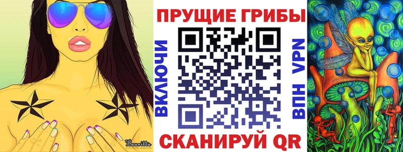 Купить где  Колпашево  Галлюциногенные грибы мицелий 